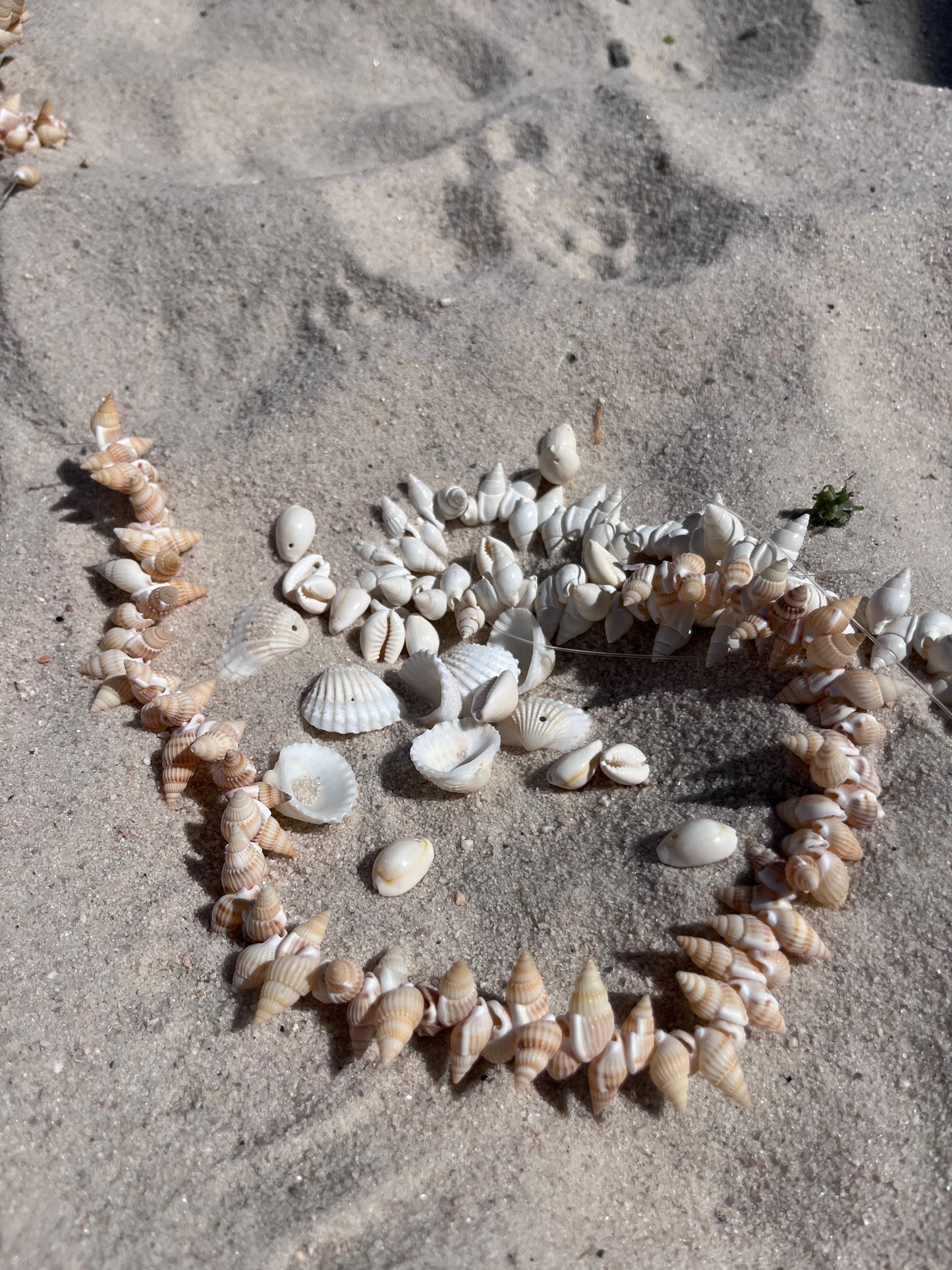 Shell Accessories image 4