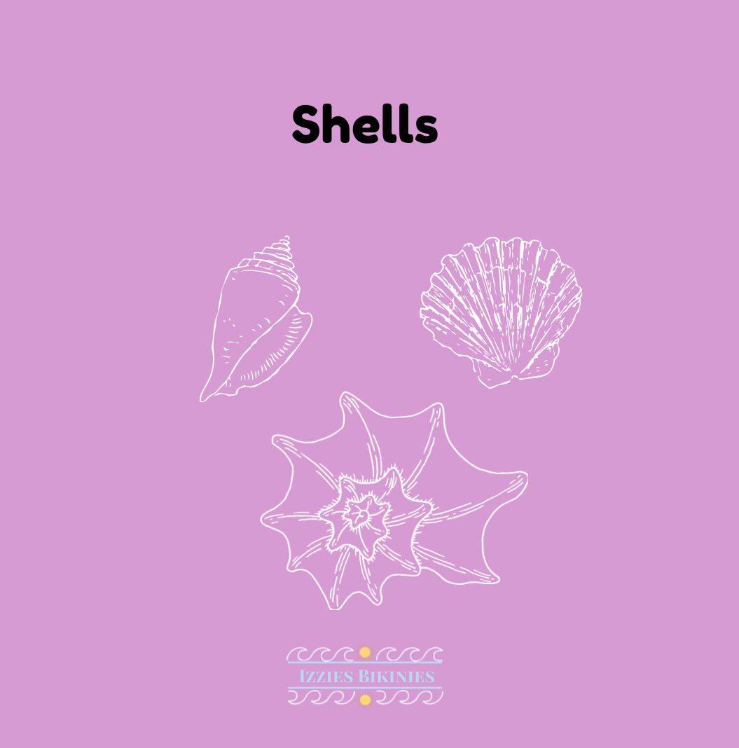 Shell Accessories