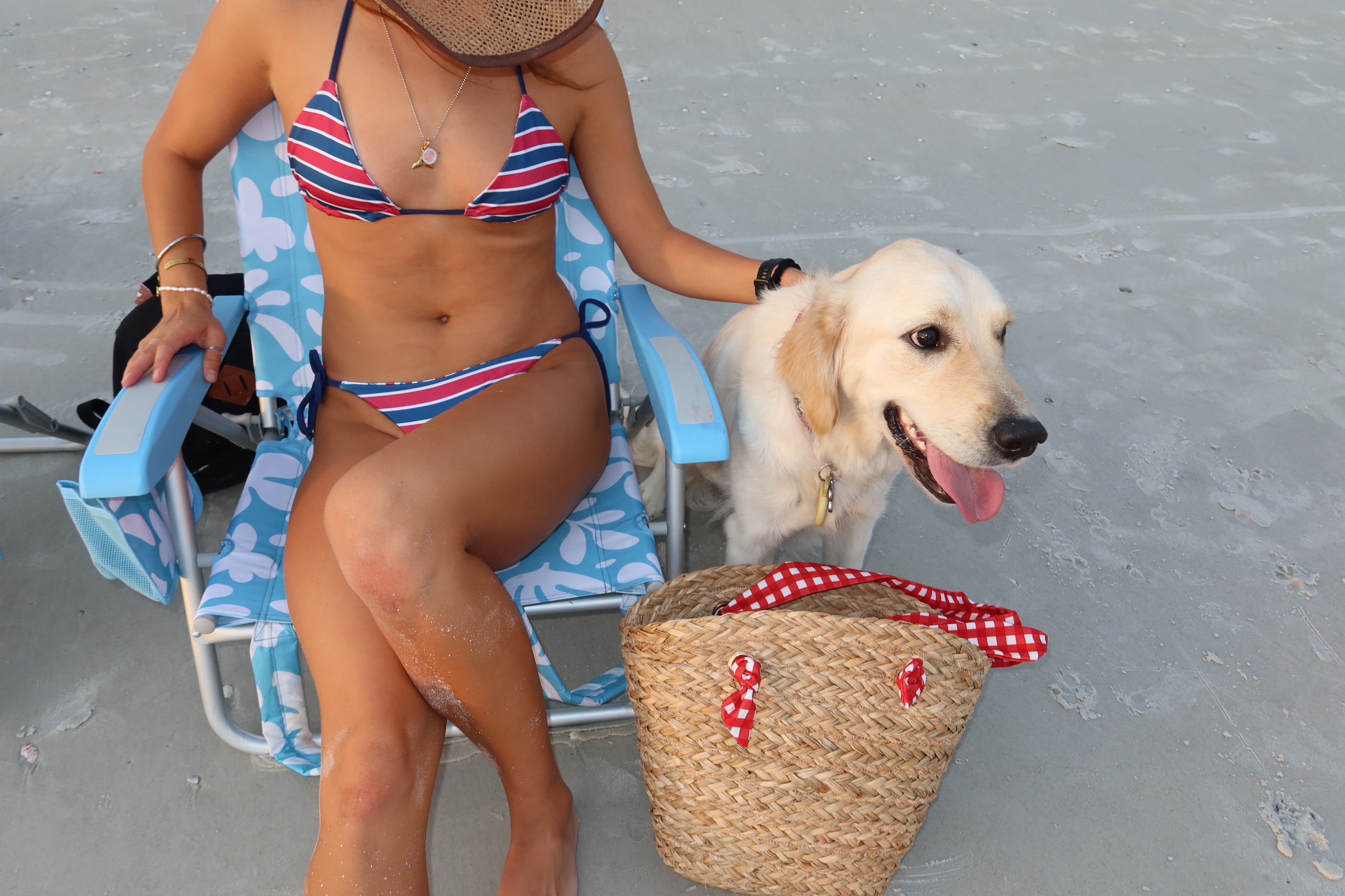 Independence Day Bikini
