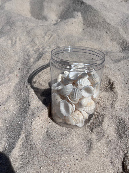 Shell Accessories image 3