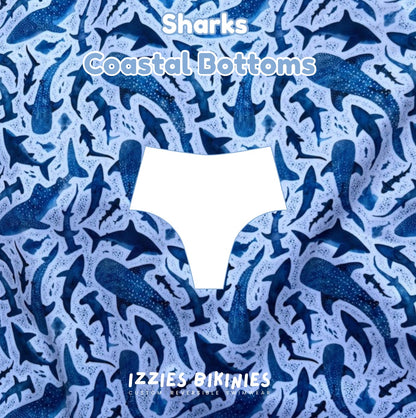 Shark Coastal Bottom