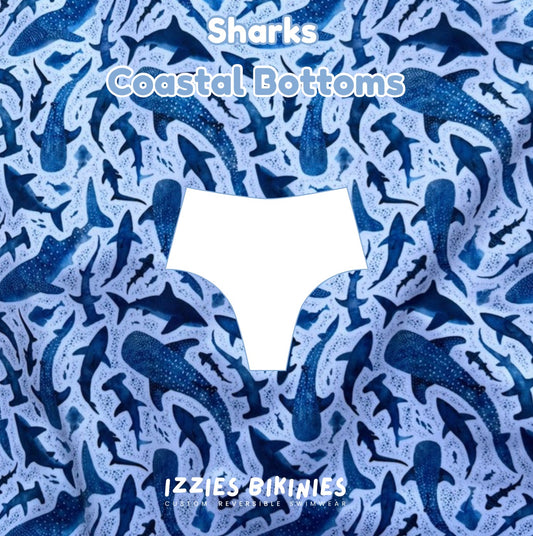 Shark Coastal Bottom