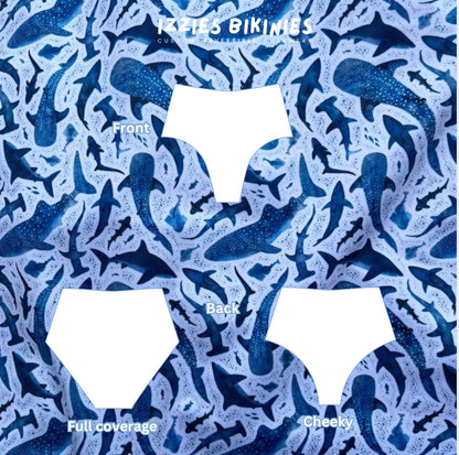 Shark Coastal Bottom